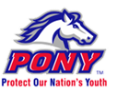 Pony Baseball Bat Regulations